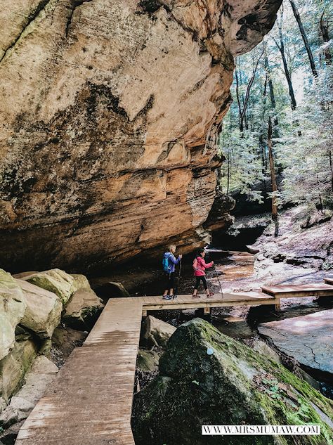 Hocking Hills with Kids + a Baby | Hocking Hills Family Trip | The Every Things Mrs Mumaw : Fort Wayne Lifestyle, Travel & Mommy Blogger Cedar Falls Hocking Hills, Hocking Hills With Kids, Ohio Hiking, Ohio State Parks, Hocking Hills Ohio, Hocking Hills State Park, Ohio Travel, Hocking Hills, Hiking Spots