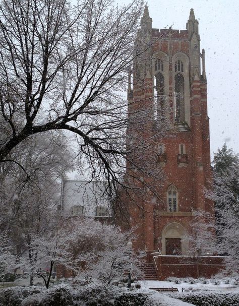 Beautiful University of Richmond snowscape University Of Richmond Aesthetic, University Of Vermont Aesthetic, Richmond University, College Road Trip, Beautiful University, College Core, University Of Vermont, Lehigh University, College Vision Board