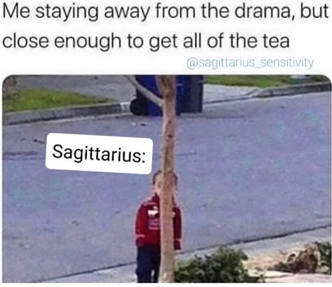 Sagittarius Funny Humor, Sagittarius Relationship Facts, Sagittarius Memes Funny, Sagittarius Pictures, Sagittarius Funny, Sagittarius Baby, Zodiac Sagittarius Facts, Sagittarius Personality, Sagittarius Season