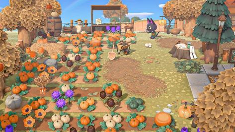 Farm Design Ideas, Acnh Pumpkin, Cottagecore Pumpkin, Pumpkin Patch Farm, Farm Design, Pumpkin Patch, Animal Crossing, Design Ideas, Custom Design