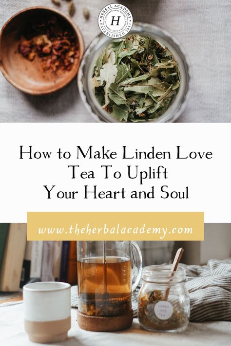 How to Make Linden Love Tea to Uplift Your Heart and Soul | Herbal Academy | This gentle Linden Love Tea recipe soothes the energetic heart and is the perfect thing to uplift yourself and soothe heartache and grief. Herbalism Books, Herbal Cabinet, Plant Magick, Linden Tea, Tea Blending, Botanical Products, Health Herbs, Simple Syrups, Teas Recipes