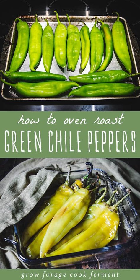 Hatch Pepper Recipes, Hatch Chili Peppers, Hatch Green Chili Recipe, Roasted Chili Peppers, Hatch Chili Recipes, Hatch Peppers, Hatch Chile Recipes, Roasted Green Chili, Hatch Green Chili