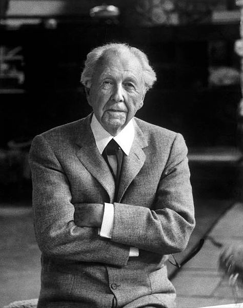 Frank Lloyd Wright Portrait, Falling Water Frank Lloyd Wright, Falling Water House, Frank Lloyd Wright Architecture, Frank Lloyd Wright Design, Frank Lloyd Wright Homes, Alfred Eisenstaedt, San Michele, Famous Architects