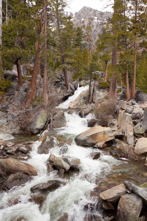 Rocky River Flow. A river flows over some rocks and debris into Lake Tahoe in Ca , #ad, #river, #flows, #Flow, #Rocky, #River #ad Theatre Moodboard, Paint Scenery, Aesthetic River, River Flow, Snow Bird, Flowing River, River Flowing, Rocky River, Forest Wall Mural