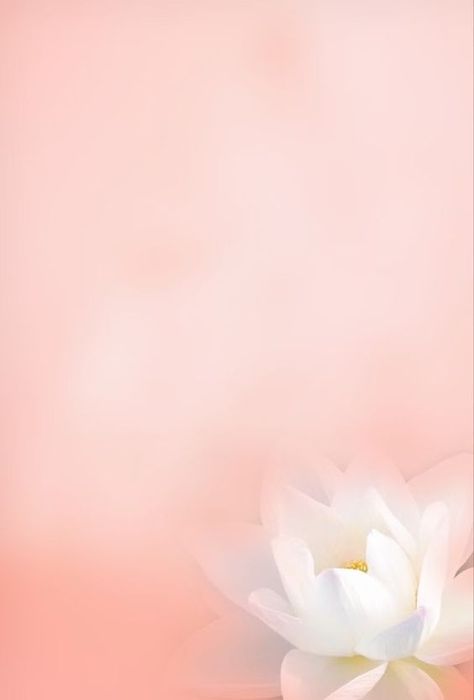 Christian Background Images, Image Zen, Whimsy Flowers, Pink Glitter Background, Dove Pictures, Lotus Flower Art, Phone Wallpaper Boho, Lotus Art, Flowers Photography Wallpaper