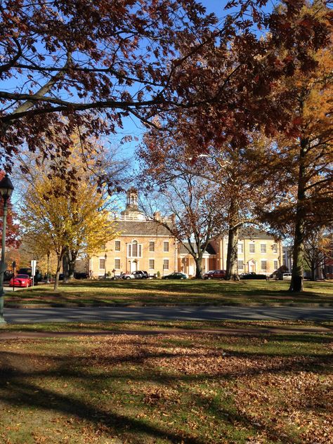 Our beautiful Old State House in historic Dover Delaware. Amish Buggy, Dover Delaware, Southern Coastal, Delaware State, New England States, Capital Cities, Franklin D Roosevelt, Southern States, World Countries