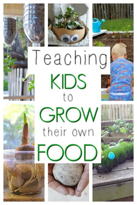 A collage of sample activities that encourage kids's interests in gardening and growing their own food. Preschool Garden, Garden Activities, Garden Fun, Activities For Preschoolers, Outdoor Classroom, School Garden, Creative Learning, Kids Learning Activities, Spring Activities