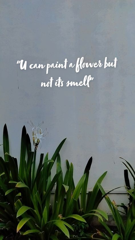 Tanisha Akbari quotes on flowers smell flower quotes on flowers smell flower grass photo snap photo real lines , reality quotes on flowers Jasmine Flower Quotes, Quotes On Flowers, Plant Quotes, Father Love Quotes, Grass Photo, Fresh Quotes, Small Quotes, Garden Grove, Jasmine Flower