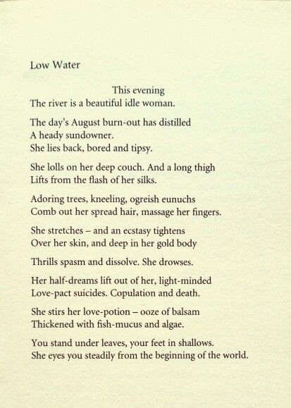 'Low Water' by Ted Hughes Ted Hughes, Book Poetry, Prose Poem, Fantasy Stuff, I Survived, In Water, Poets, Beautiful Words, Song Lyrics