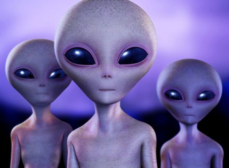 Astrobiologists have deduced a thing or two about what alien beings might be like. Their profile might not match your own. Fermi Paradox, Aliens Exist, Alien Encounters, Grey Alien, Arte Alien, Citizen Science, Extra Terrestrial, Aliens And Ufos, William Shatner