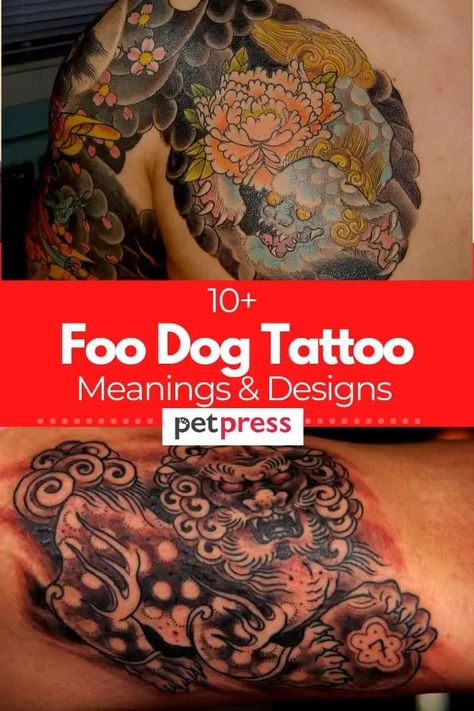 Getting a foo dog tattoo is a great way to show your love for this unique and interesting breed of dog. Foo Dogs Tattoo, Chinese Dog Tattoo, Foo Dog Tattoo Meaning, Japanese Foo Dog, Foo Dog Tattoo Design, Foo Dog Tattoo, Dog Paw Tattoo, Tattoo Meanings, Fu Dog