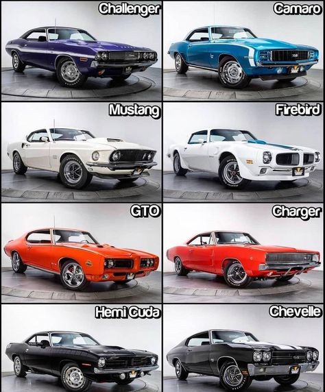 Classic Cars on Instagram: “You can pick two? (Tell us why) 🧐 @classiccarsntrucks @classiccarsntrucks @classiccarsntrucks” Classic Cars Trucks Chevy, Old American Cars, Gas Monkey Garage, Old Muscle Cars, Dodge Muscle Cars, Vintage Muscle Cars, Custom Muscle Cars, American Classic Cars, American Muscle Cars