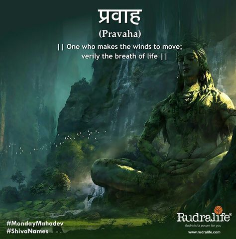 Mahadev #Pravaha Shiva Trilogy, Rudra Shiva, Shiva Shankar, Mahakal Shiva, Lord Mahadev, Hindu Rituals, Lord Siva, Shiva Linga, Hanuman Chalisa