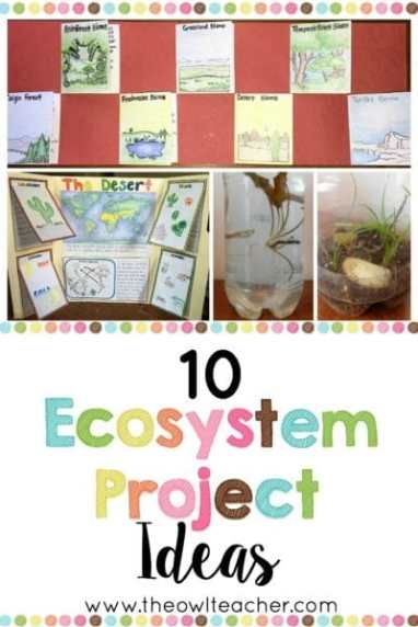 Engage your students with these 10 ecosystem project ideas for your elementary science class and grab a FREEBIE to get started! Ecosystem Project Ideas, Teaching Ecosystems, Ecosystem Project, Ecosystem Activities, Ecology Projects, Ecosystems Projects, Science Computer, Science Board, Engineering Books