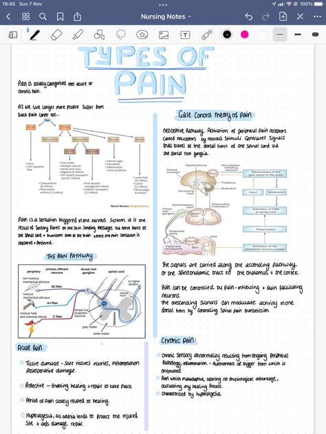 Pain Nursing Notes, Goodnotes Study Notes, Nursing School Inspiration, Brain Storming, Nursing School Essential, Fundamentals Of Nursing, Nursing School Studying, Nursing School Tips, Medical School Studying