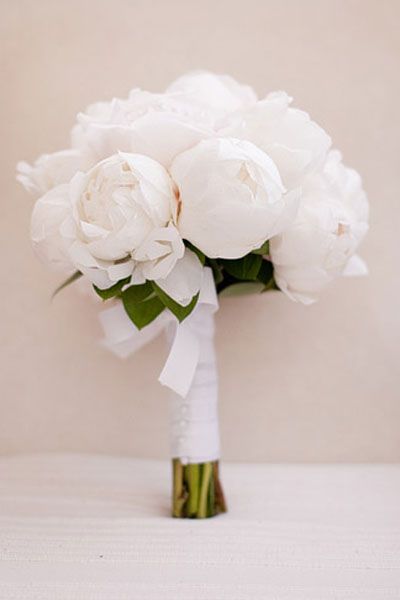 Flower Guide: Peonies | Wedding Planning, Ideas & Etiquette | Bridal Guide Magazine Flower Guide, Bridal Guide, Peony Wedding, White Peonies, White Bouquet, Bride Bouquets, Bridal Flowers, Flower Bouquet Wedding, Beautiful Bouquet