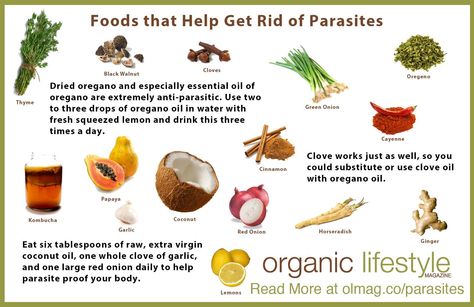 Foods that kill parasites Parasite Cleanse Diet, Cleaning Your Colon, Intestinal Parasites, Parasite Cleanse, Thyme Oil, Cleanse Diet, Extra Virgin Coconut Oil, Organic Lifestyle, Sugar Detox