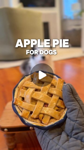 Pie For Dogs, Goat Milk Powder, Should I Do It, Milk Powder, Dog Recipes, Bone Broth, Wheat Flour, Powdered Milk, Goat Milk