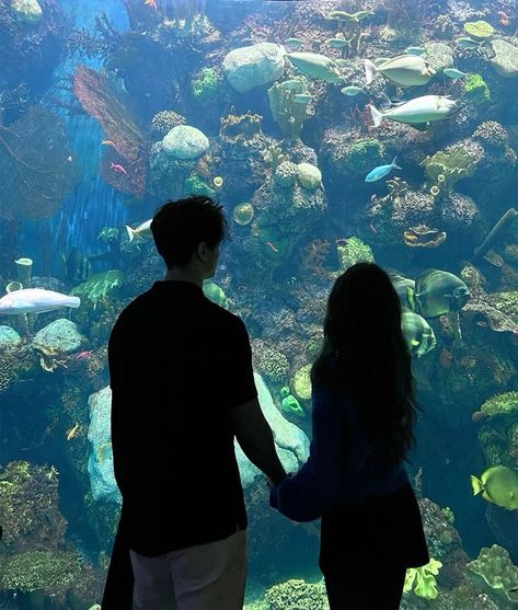 Aquarium Photos, Aquarium Pictures, Dream Dates, You Are My Moon, Cute Date Ideas, 사진 촬영 포즈, My Kind Of Love, Ulzzang Couple, The Perfect Guy