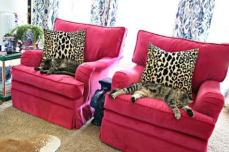 Hot Pink Chair Living Room, Fuschia Accent Chair, Decorating With Hot Pink, Hot Pink Chair, Pink Chairs Living Room, Recliners In Living Room, Velvet Chairs Living Room, Preppy Living Room, Pink Living Room