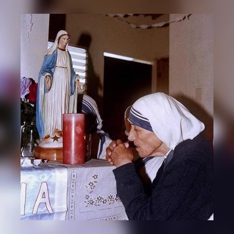 Mother Teresa Pictures, Missionaries Of Charity, Saint Teresa Of Calcutta, Very Important Person, Saint Quotes Catholic, Missionary Work, Saint Teresa, Catholic Images, Bride Of Christ