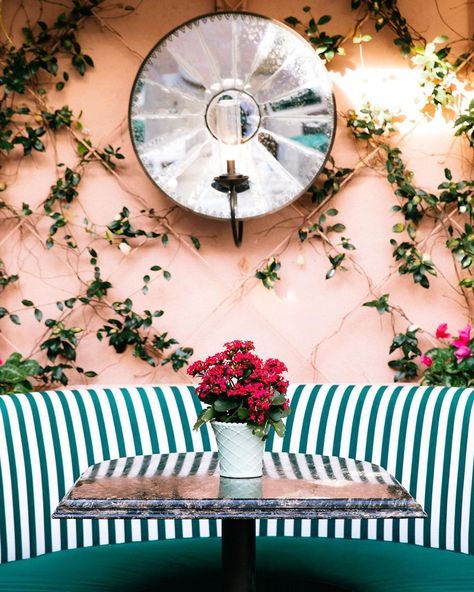 The Beverly Hills Hotel (@bevhillshotel) • Instagram photos and videos Polo Lounge, Open Patio, The Beverly Hills Hotel, Poolside Fashion, Outdoor Dining Spaces, Beverly Hills Hotel, Our Place, Patio Door, The Next Big Thing