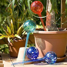 Watering Bulbs, Kids Gardening Tools, Pebble Garden, Plant Watering, Potted Plants Outdoor, Water Globes, Self Watering Planter, Self Watering, Watering Globe