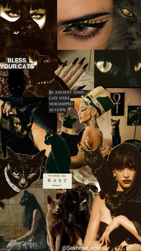 goddess bastet #goddess #bastet #egyptianmythology #mythology #ancient_egypt #egypt #kemet #cat #aesthetics #aesthetic #egyptianaesthetics Dark Egypt Aesthetic, I Am A Goddess Wallpaper, Eygptain Goddess Aesthetic, Bastet Symbol, Egyptian Princess Aesthetic, Modern Egyptian Aesthetic, Bastet Aesthetic, Egyptian Goddess Aesthetic, Bastet Egyptian Goddess