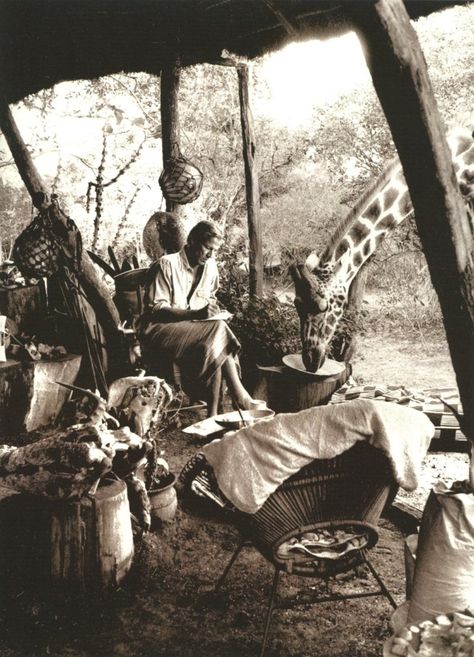 Peter Beard, Desert Dreamer, Vintage Safari, Mary Cassatt, A Giraffe, Out Of Africa, We Are The World, Safari Style, African Safari