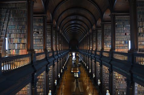 UT Photo Director’s Work on a Winning Streak Trinity Library, Great Mosque Of Córdoba, Guinness Brewery, Trinity College Library, Trinity College Dublin, Europe Continent, Long Room, Beautiful Library, Old Library