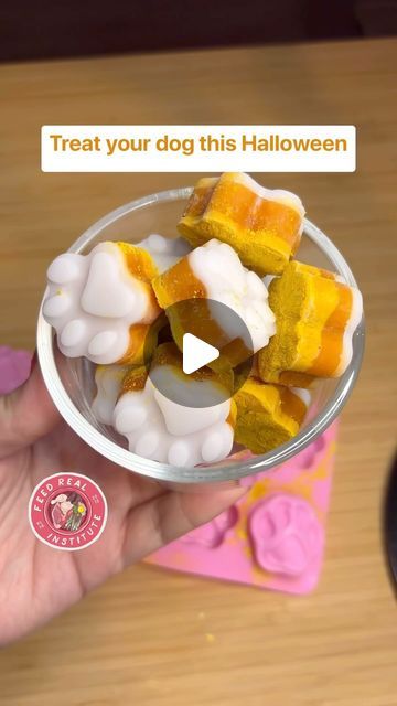 Feed Real Institute on Instagram: "Give your dog a treat that’s both delicious and healthy! 🐾 

🎃 These DIY anti-inflammatory candy corn inspired treats are packed with powerhouse ingredients for your dog’s health! 

👻 Coconut oil supports a shiny coat and healthy skin, while turmeric and black pepper work together to reduce inflammation and boost joint health. Pumpkin is rich in fiber and vitamin A, promoting healthy digestion, and Greek yogurt provides probiotics to support gut health. Together, they create a delicious, nutritious treat that your dog will love! 

#HealthyDog #AntiInflammatoryTreats #DogWellness #feedreal #diydogtreats #spookyseason" Turmeric And Black Pepper, Dog Wellness, Diy Dog Treats, Fiber Rich, Healthy Digestion, Healthy Dogs, Vitamin A, Reduce Inflammation, Dog Food