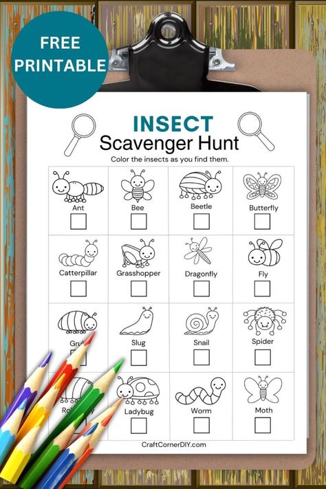 Free printable insect scavenger hunt. Animal Scavenger Hunt, Insect Scavenger Hunt, Bug Scavenger Hunt, Bug Hunt Activities, Insect Scavenger Hunt Free Printable, Bug Scavenger Hunt Free Printable, Bug Hunt Printable, Color Nature Scavenger Hunt, Nature Photo Scavenger Hunt