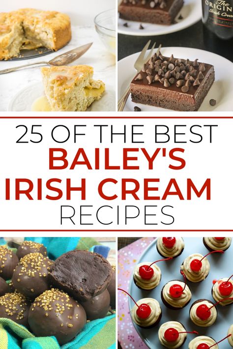 This list of Baileys Irish Cream Dessert Recipes is guranteed to make even the pickiest dessert eater fan of your baked goods! Irish Creme Recipes, Irish Cream Recipe Desserts, Baileys Recipes Desserts, Irish Cream Recipes, Irish Cream Desserts, Chocolate Christmas Cake, Baileys Dessert, Baileys Irish Cream Recipes, Cream Desserts Recipes