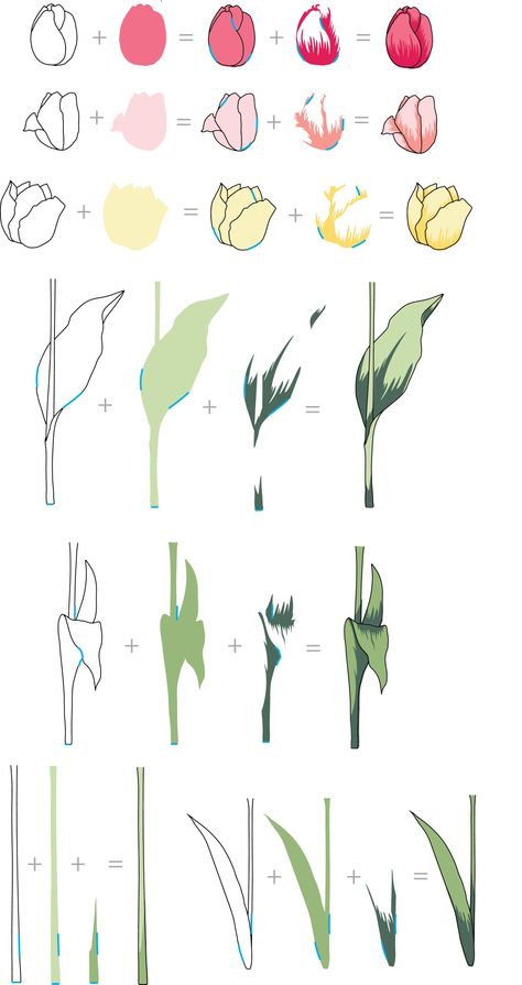 Hur Man Ritar Blommor, Tulip Drawing, Flower Drawing Tutorials, Tulip Painting, Tulips Art, Watercolor Tulips, Intro Video, Soyut Sanat Tabloları, 수채화 그림