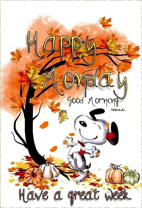 Snoopy Monday Mornings, Happy Monday Fall, Snoopy Happy Thanksgiving, Monday Halloween, Monday Morning Greetings, Monday Morning Humor, Peanuts Thanksgiving, Happy Greetings, Happy Monday Images