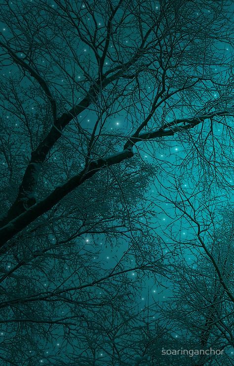 Simply Stare Upward (Dark Winter Sky / Winter Forest) Color Cian, Turquoise Aesthetic, Image Bleu, Verde Tiffany, Dark Cyan, Light Blue Aesthetic, Dark Green Aesthetic, Winter Sky, Teal Wallpaper