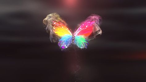 Butterfly Explosion, Butterfly Colorful, Useful Projects, Butterfly Logo, Premiere Pro Cc, Page Borders, Logo Reveal, Colorful Butterfly, After Effects Projects