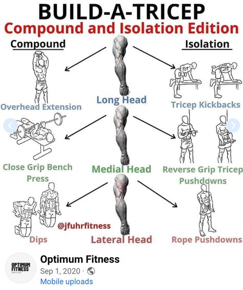 Effective Workout Plan, Tricep Kickback, Gym Buddy, Gym Workout Chart, First Things First, Weight Training Workouts, Workout Chart, Triceps Workout, Biceps Workout