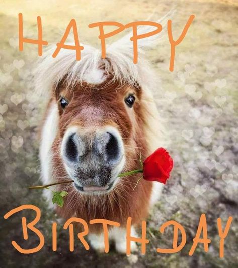 Happy Bday Pics, Lief Vir Jou, Happy Birthday Wishes Pics, Funny Happy Birthday Song, Image Love, Birthday Wishes Pics, Happy Birthday Kids, Birthday Wishes Greetings, Birthday Greetings Friend