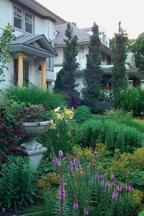 Front Yard Landscaping Between Neighbors, Landscaping Between Neighbors, Privacy Landscaping Between Houses, Front Porch Plants, Garden Driveway, Pinus Sylvestris, Evergreen Hedge, Porch Plants, Privacy Plants