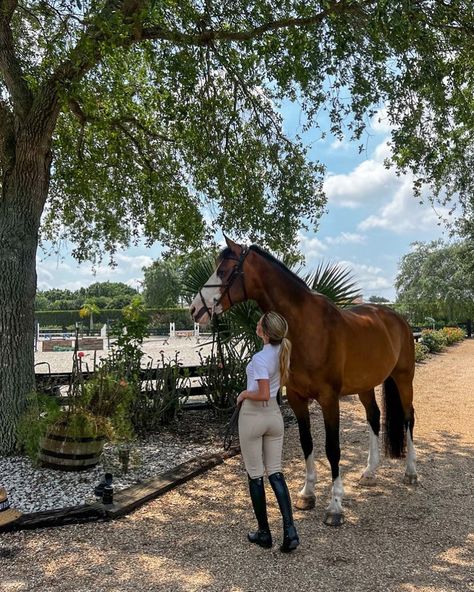 English Rider Aesthetic, English Riding Aesthetic, Ride Horse Aesthetic, English Horse Show Aesthetic, Countryside Horse Aesthetic, Rich Horse Girl Aesthetic, Miss Texas, Texas Girl, English Riding