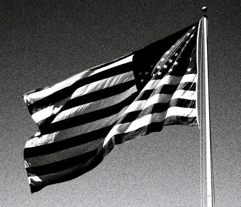 American Flag in Black and White Usa Flag Aesthetic, Flag Aesthetic, American Flag Waving, Joining The Navy, Black American Flag, Risky Business, America Flag, Old Glory, Black And White Aesthetic