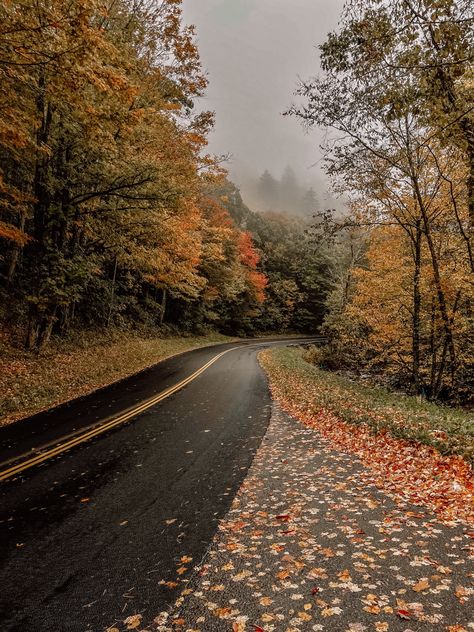 📍gatlinburg, tn Gatlinburg Tennessee Aesthetic, Halloween Outdoors, Fall In The Mountains, Tennessee Aesthetic, Tennessee Fall, Tennessee Living, Mountains Tennessee, Smoky Mountains Tennessee, Gatlinburg Tennessee