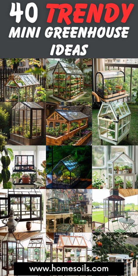 Discover trendy mini greenhouse ideas that combine functionality and style for any space. From repurposed cabinets and glass domes to tiered shelving with grow lights, create a charming setup for your plants. Perfect for indoors or small yards, these ideas bring greenery to life year-round! Ikea Mini Greenhouse, Small Greenhouse Diy, Mini Greenhouse Ideas, Small Greenhouse Ideas, Repurposed Cabinets, Mini Garden Ideas, Greenhouse Shelves, Small Yards, Greenhouse Ideas