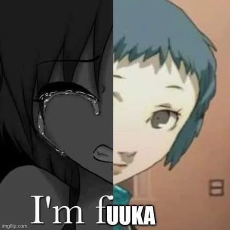 Fuuka Yamagishi Icon, Persona 3 Fuuka, Persona 4 Icons, Persona 3 Icons, Persona Gif, Persona 3 Pfp, Persona Pfp, Fuuka Yamagishi, Persona 1