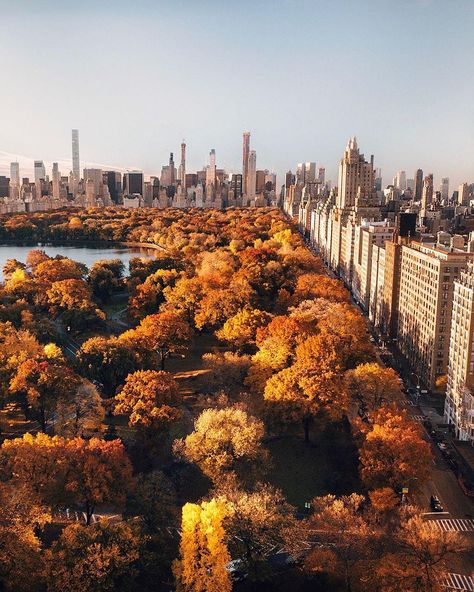 Central Park in fall is magical. Who is missing autumn? 🍁 — 📌 #NYC #newyork #unitedstates #usa — 📷 @joethommas — #voyaged #travel #adventure Fall In New York City, Fall Nyc, Nyc Fall, Fall Canvas, Autumn In New York, Fall Things, Autumn Scenes, City Vibe, Dream City