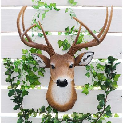 This Deer Stag Head wall decor is 21.25" tall, 17.25" long and 13" deep approximately with its antlers attached.Features:This deer stag head wall decor is made of designer composite resin, hand painted and polishedThe buck's antlers are shipped detached for safety during transit. Screws not included. Anchored screws recommended during install.If you are looking for a good-sized Buck look-alike wall decor, this wall bust will surpass your expectations!!! Great details, painted eyes, and realistic Bust Decor, Deer Wall Mount, Taxidermy Wall, Antler Ideas, Buck Antlers, Wall Hanging Sculpture, Hanging Sculpture, Head Bust, Stag Deer