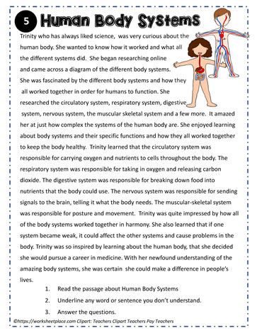 Grade 5 Reading, Science Reading Comprehension, Human Body Worksheets, Short Reading Passage, Reading Printables, English Short Stories, Science Reading, 5th Grade Reading, Human Body Systems