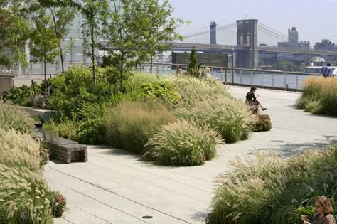 Park designed by Ken Smith Contemporary Landscape Design, Landscape And Urbanism, Landscape Architecture Design, Rooftop Garden, Parking Design, Landscaping Tips, Roof Garden, Landscape Projects, Green Roof