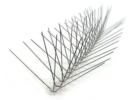 BirdX Extra Wide Stainless Steel Bird Spikes Covers 10 feet ** To view further for this item, visit the image link. (This is an affiliate link) #PestControlTraps Keep Out Signs, Bird Deterrents, Bird Repellents, Bird Control, Pigeon Bird, Flea Prevention, Pest Management, Insect Control, Small Birds